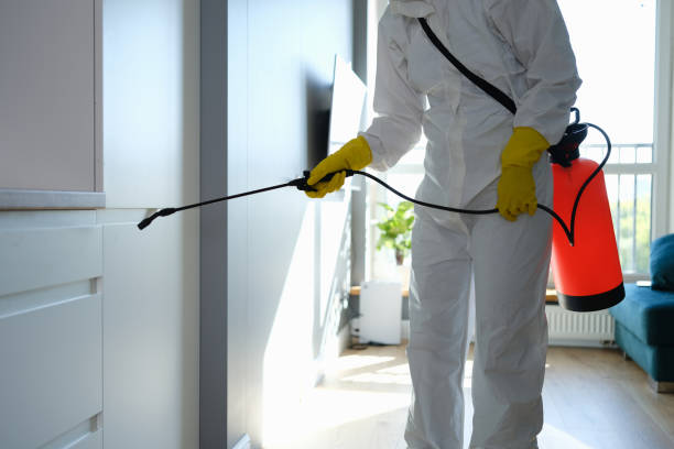 Mold Removal for HVAC Installations in Crestline, CA