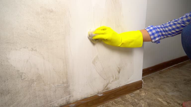 Best Post-Construction Mold Inspection  in Crestline, CA