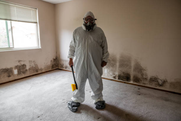 Best Dehumidification Services  in Crestline, CA